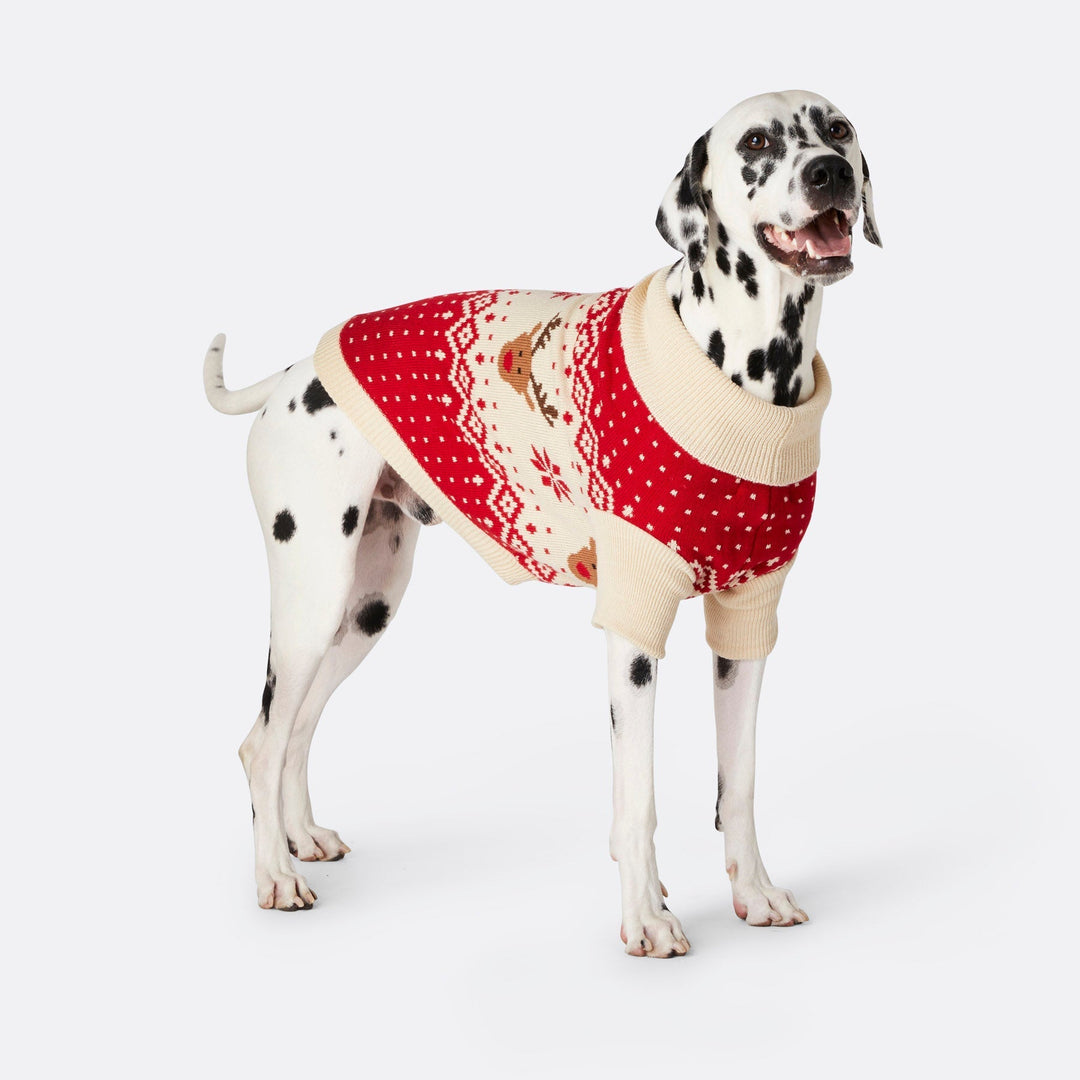 Pull de Noël matchy-matchy Renne rétro - rouge