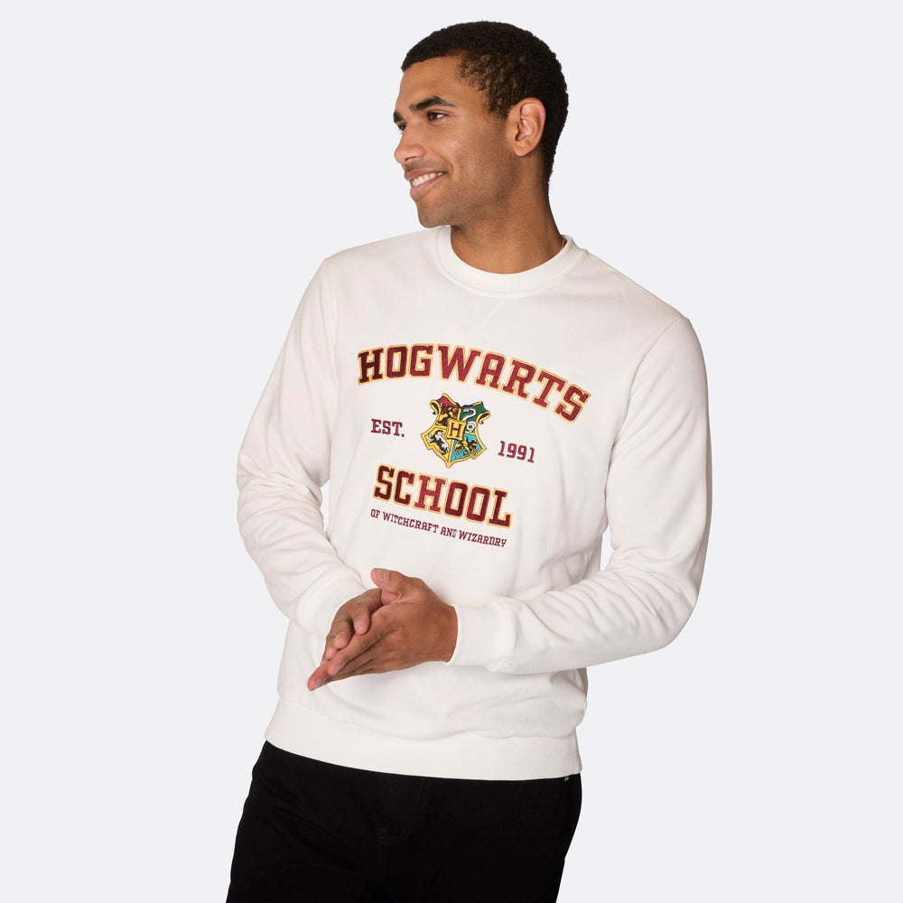 Pull de Noël homme "Hogwarts School"