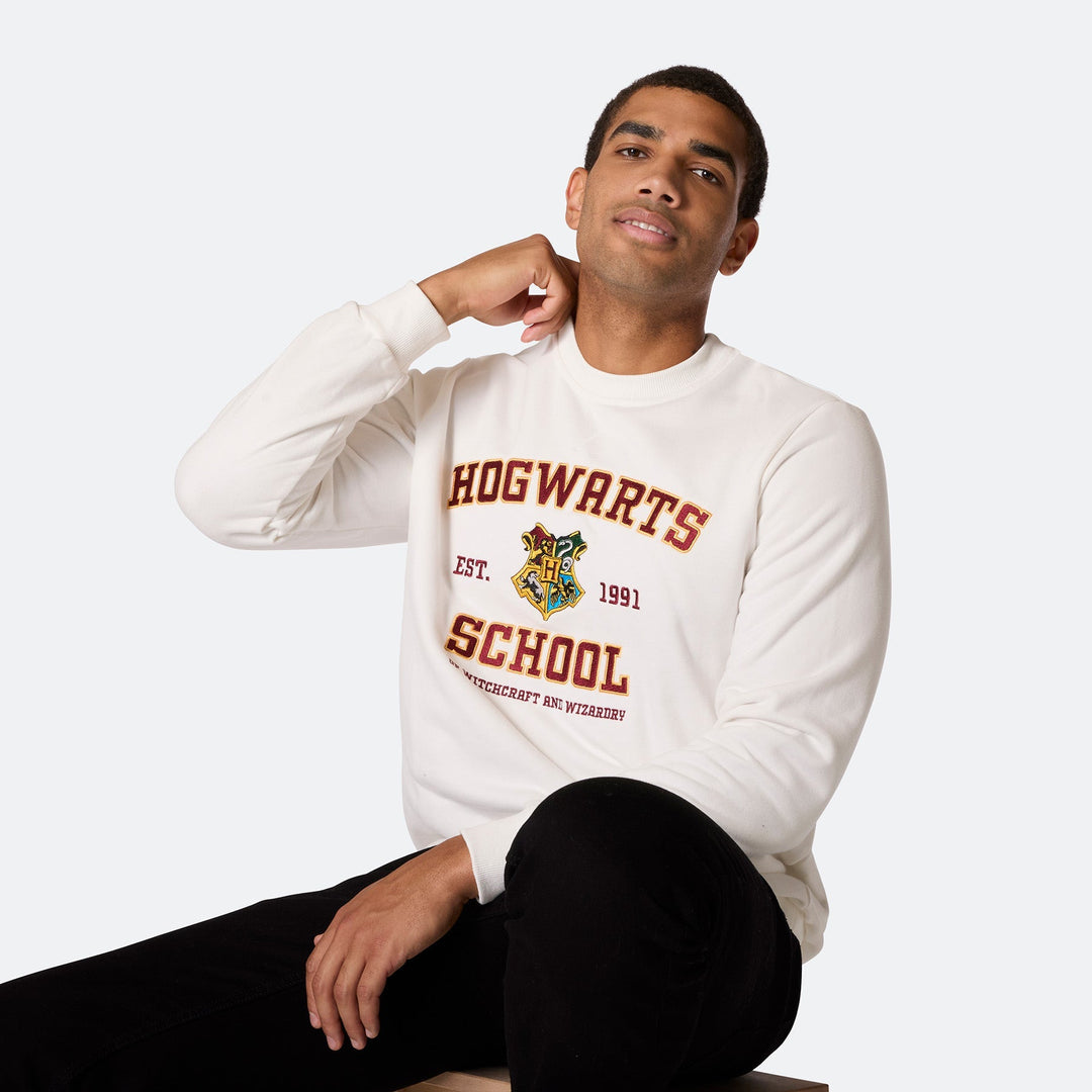 Pull de Noël homme "Hogwarts School"