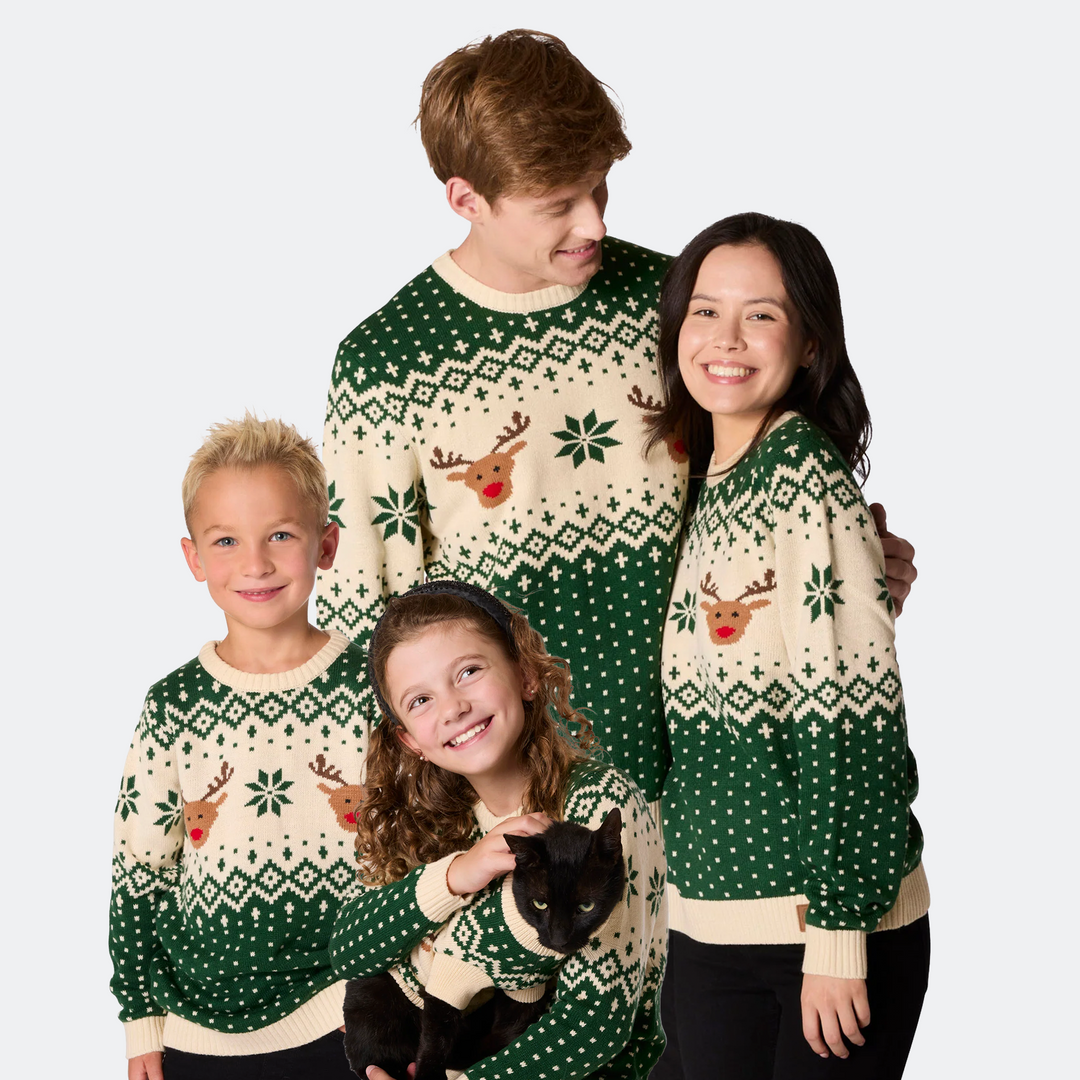 Pull de Noël matchy-matchy Renne rétro - vert