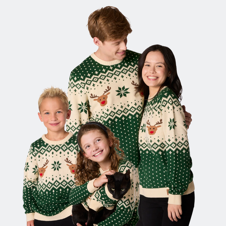 Pull de Noël matchy-matchy Renne rétro - vert