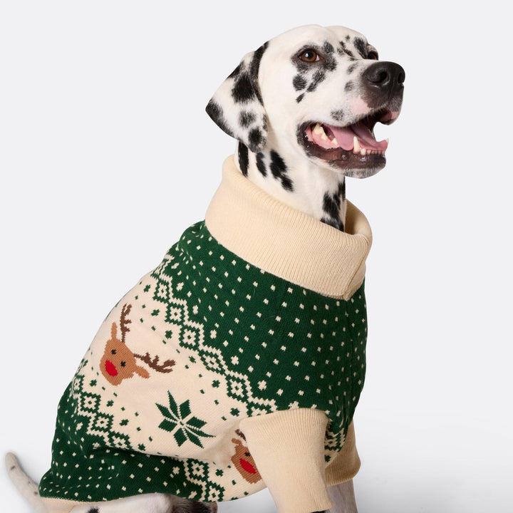Pull de Noël matchy-matchy Renne rétro - vert