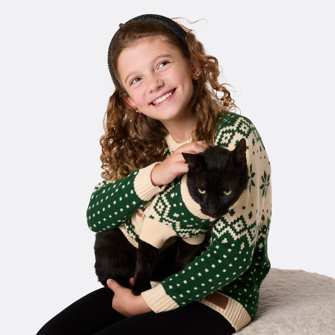 Pull de Noël matchy-matchy Renne rétro - vert
