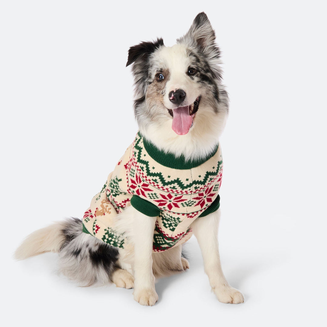 Pull de Noël matchy-matchy Sapin rétro - vert
