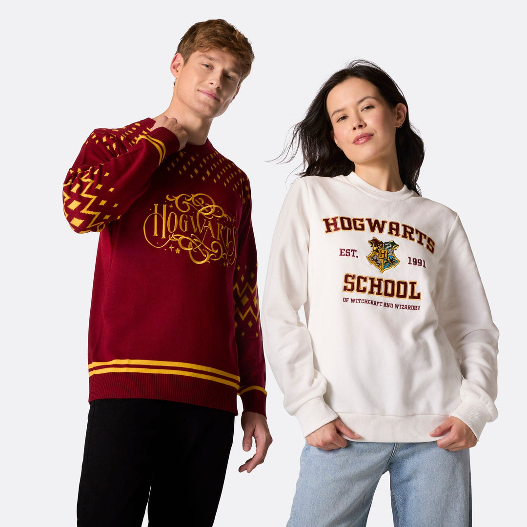 Pull de Noël homme "Hogwarts School"