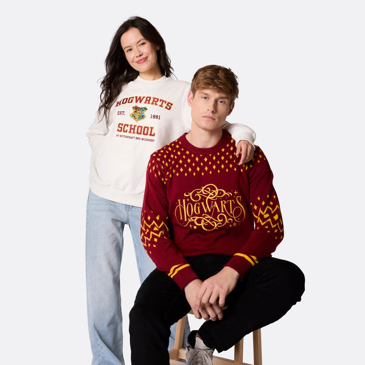Pull de Noël homme "Hogwarts School"